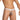 Secret Male Intimate Men's Bikini SMI069