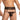 Secret Male Garter Belt Men's Bikini Lingerie SMI072