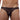 Cover Male CM101  Bikini Sheer - Erogenos