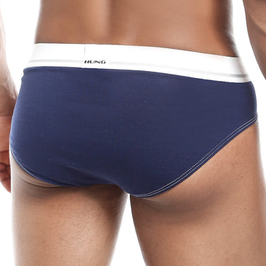 Hung HGJ009 Race Brief - Erogenos