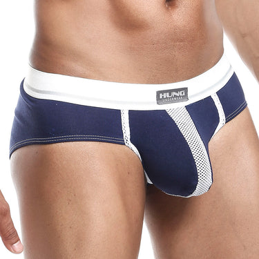 Hung HGJ009 Race Brief - Erogenos